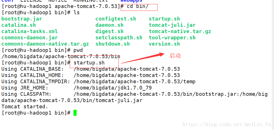 Linux下的Nginx的配置+Tomcat启动