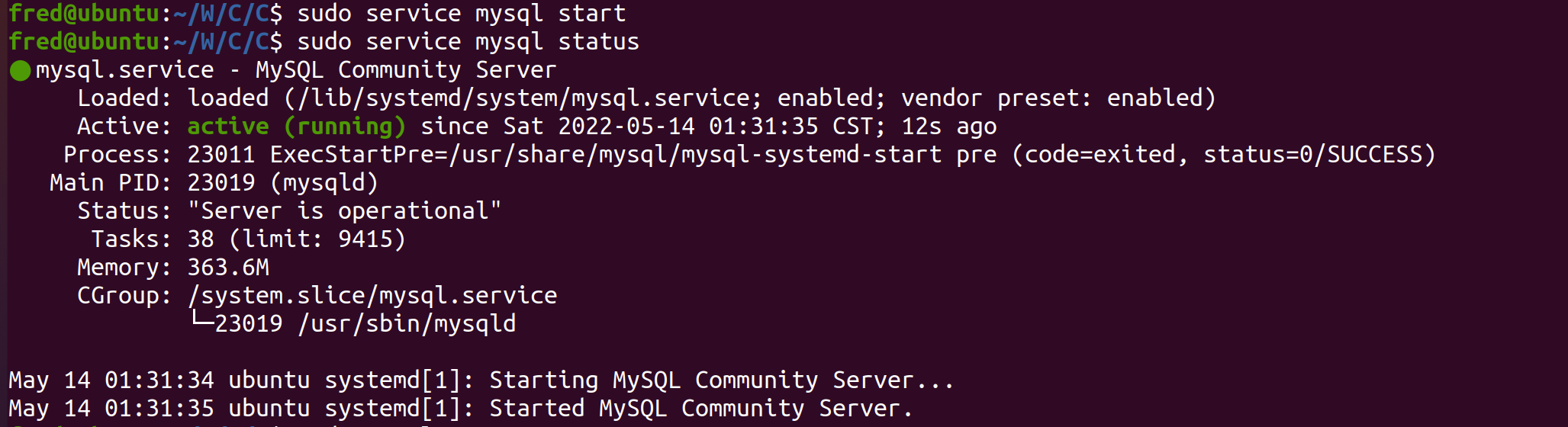 Ubuntu create database and tables in mysql